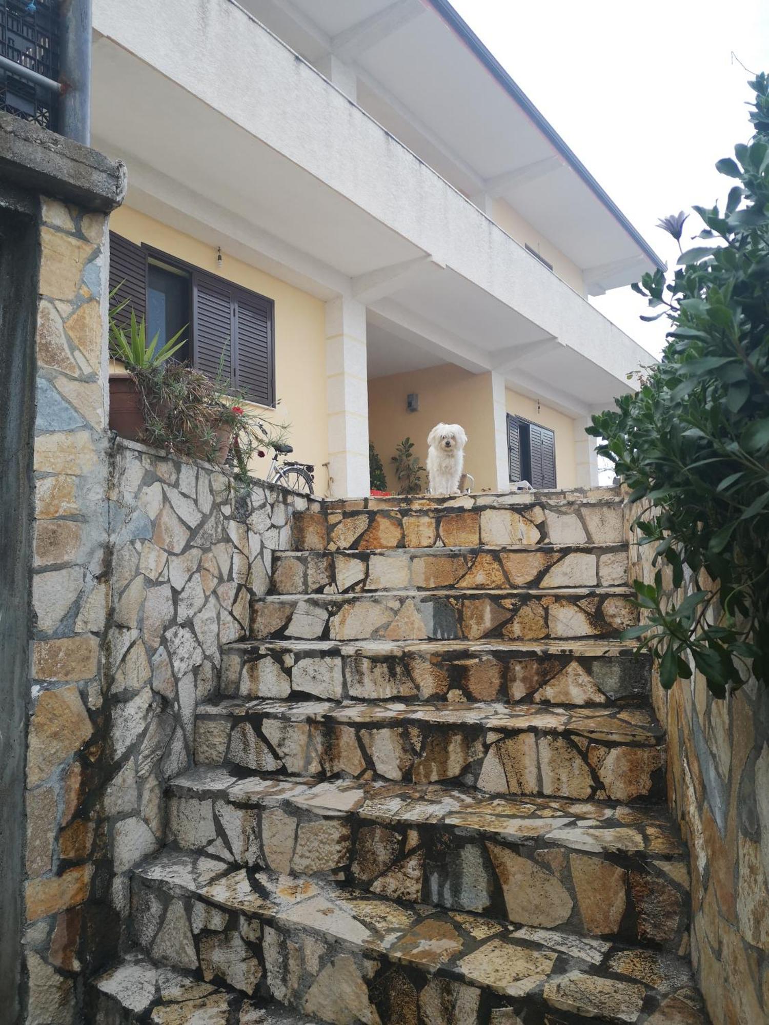 Вилла Private House Дуррес Номер фото